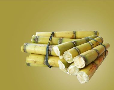 SUGAR-CANE.jpg