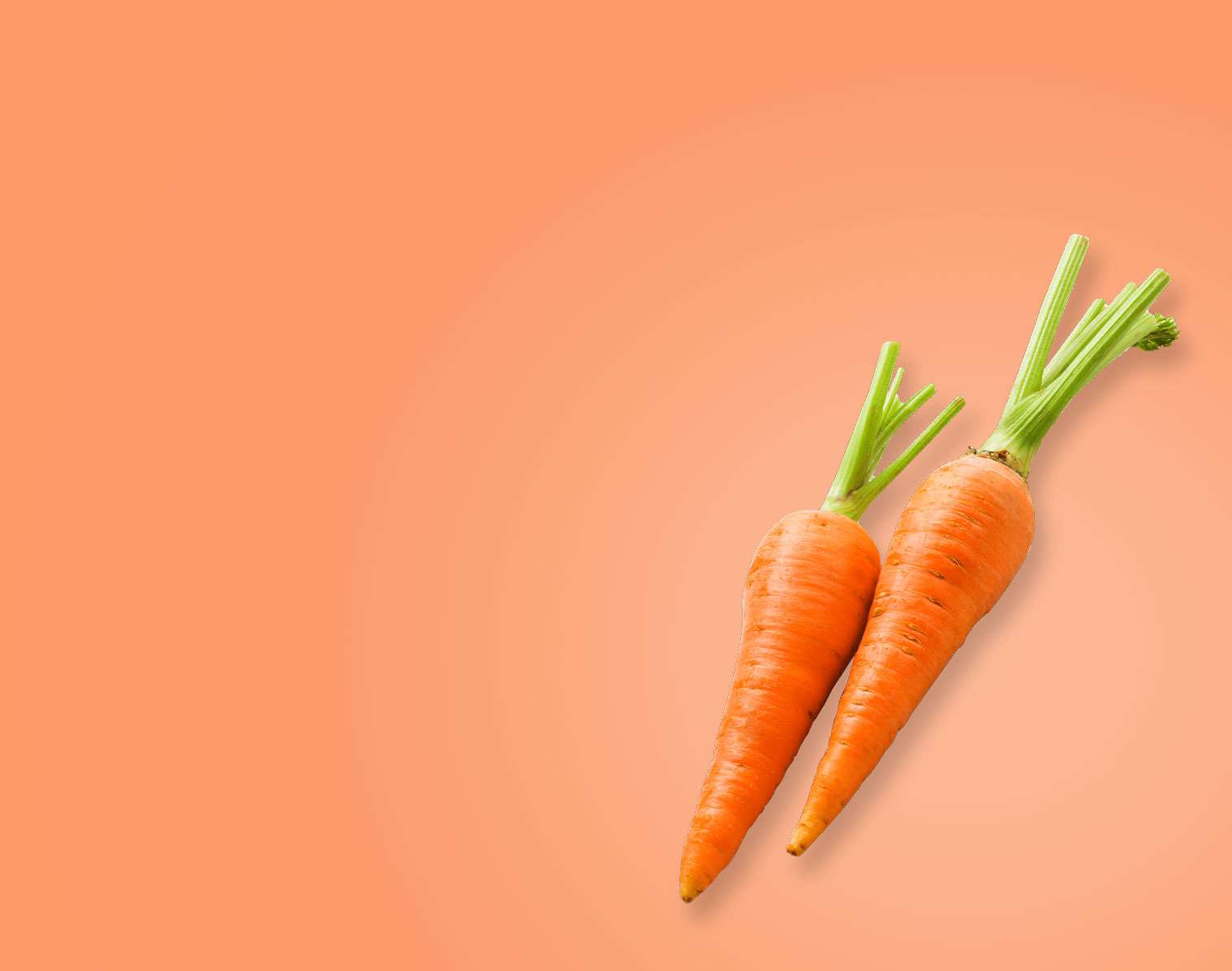 carrot.jpg