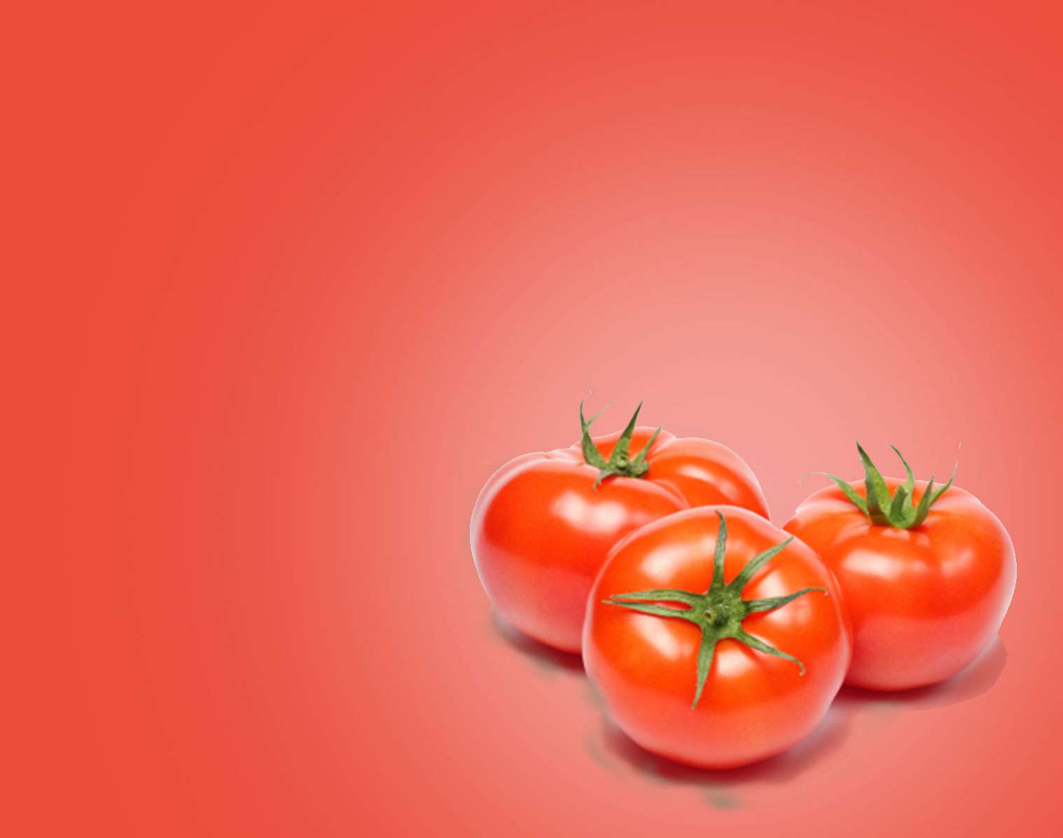 tomato.jpg